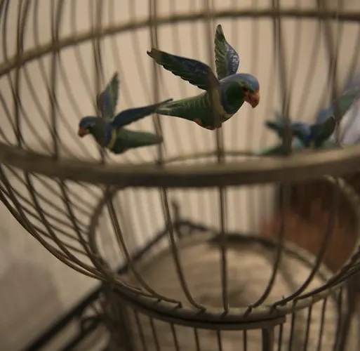 Lägenhetshotell Royal Kalloni (Peloponnese)